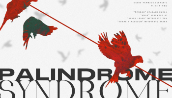Palindrome Syndrome